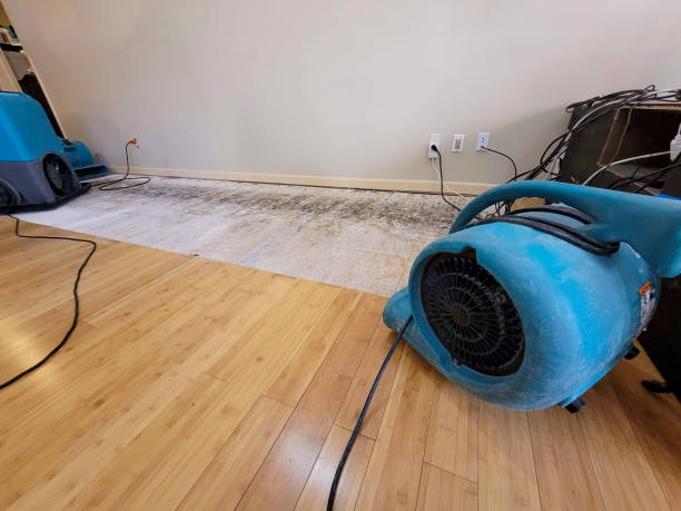 Professional Flood Damage Cleanup technician working in Ashland, VA